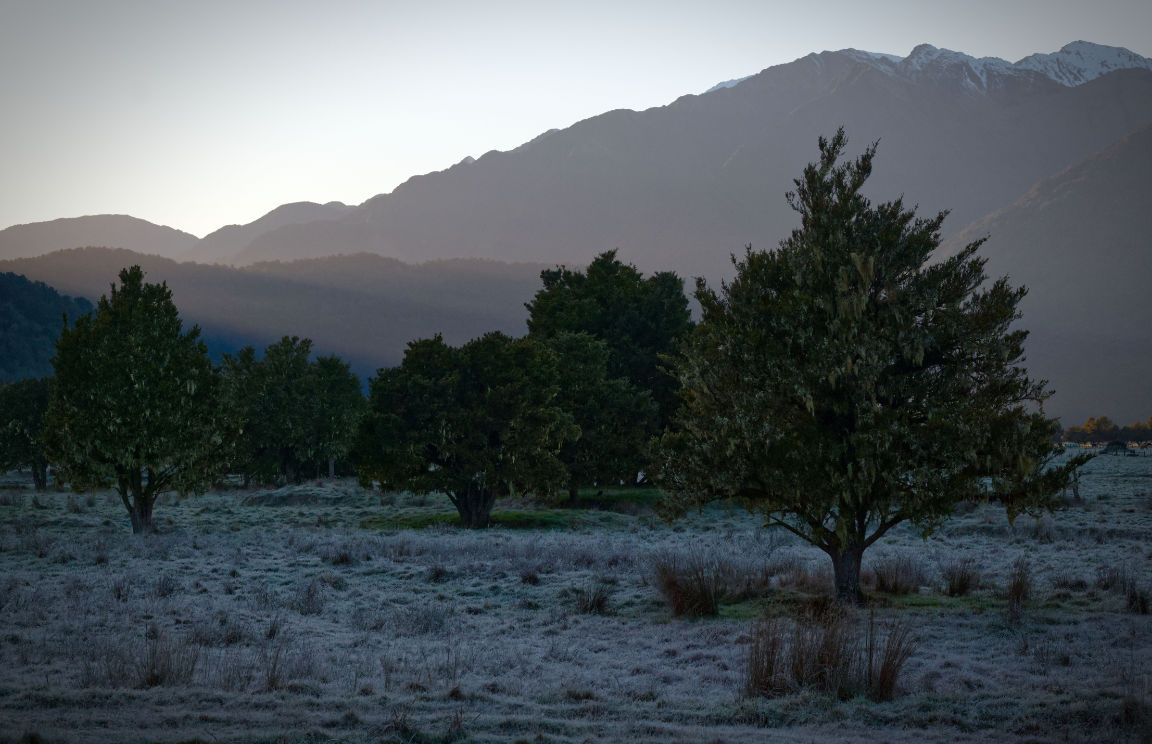 Morning Frost in Franz Josef